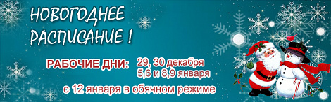 Расписание новогодние 2026